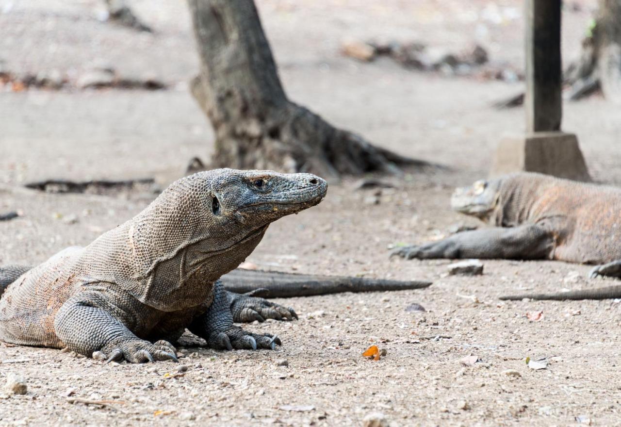 Hotel Ayana Komodo Waecicu Beach Labuan Bajo Exteriér fotografie